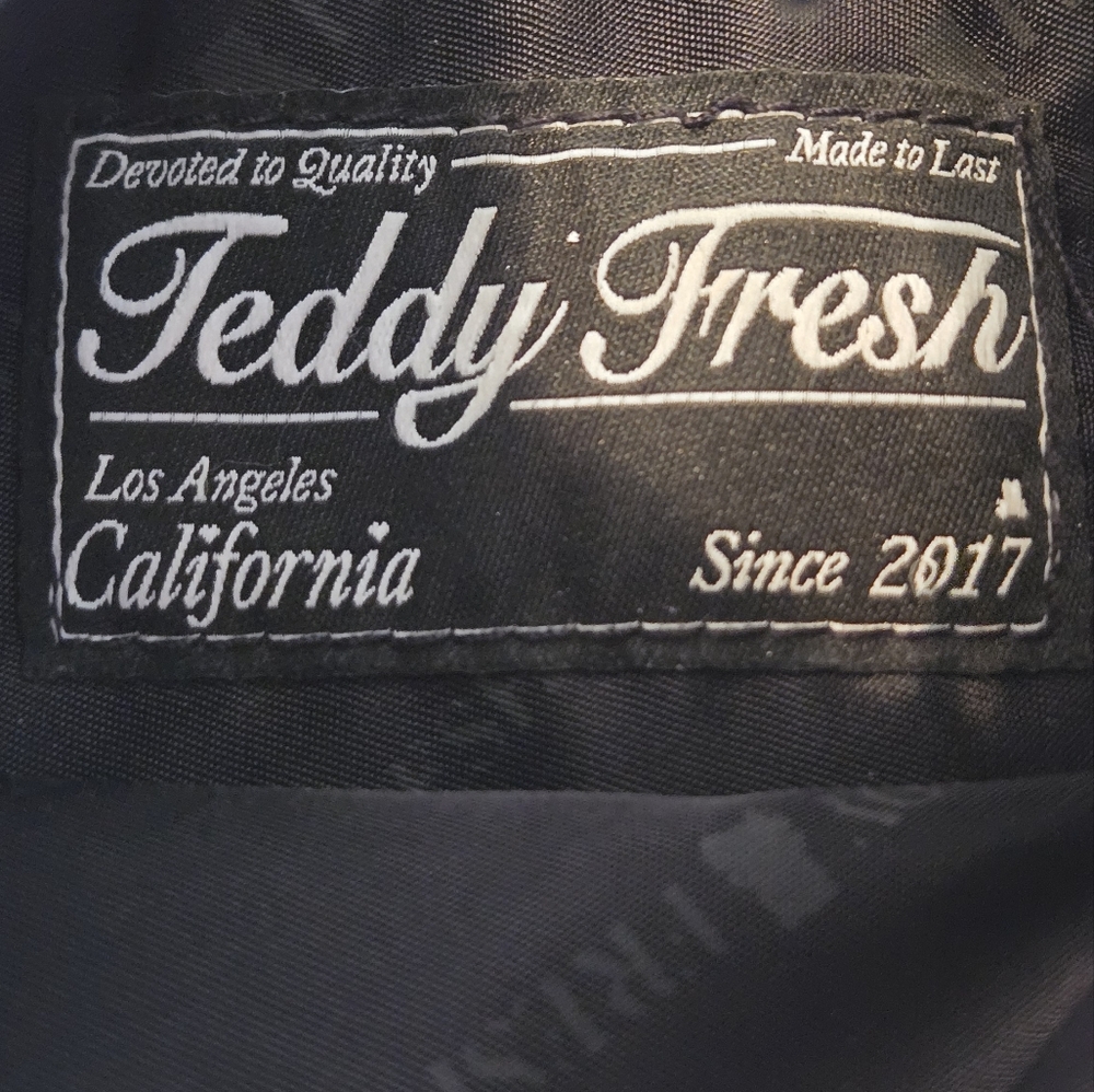 Teddy Fresh Crossbody Bag With Charm Coin Purse - Picture 2 of 16